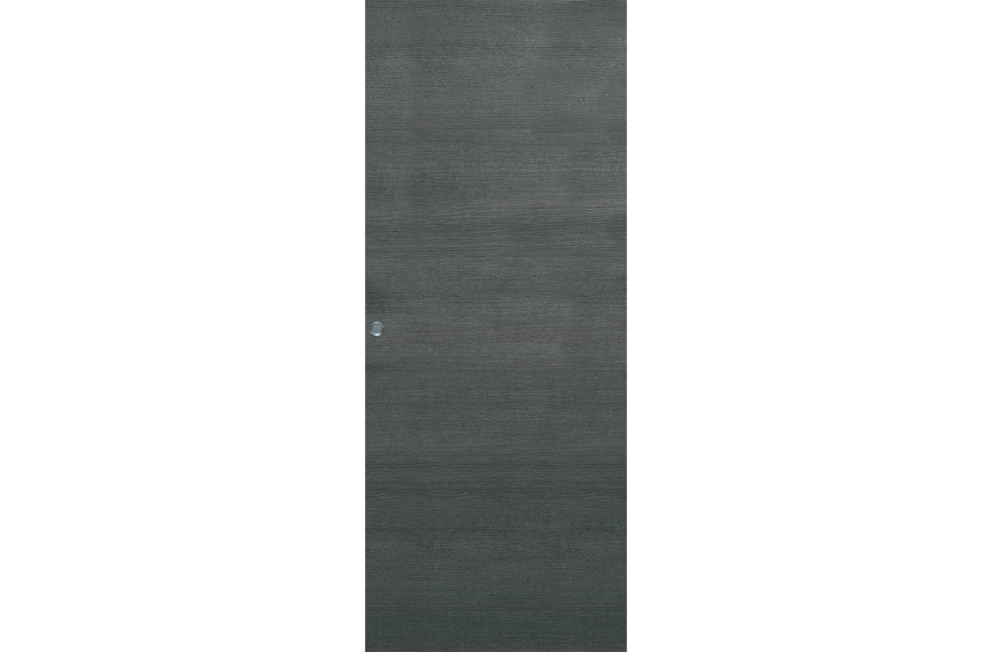 Porte intérieure coulissante contemporaine