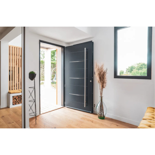 Porte d'entrée acier avec inserts inox