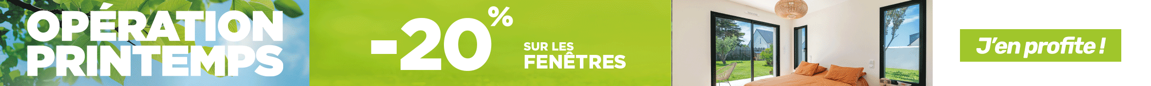 banner promo