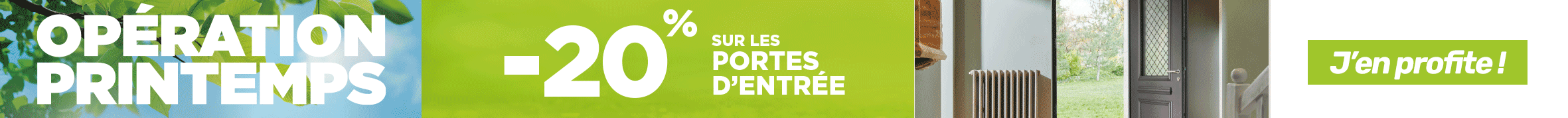 banner promo