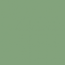 Vert pâle 6021