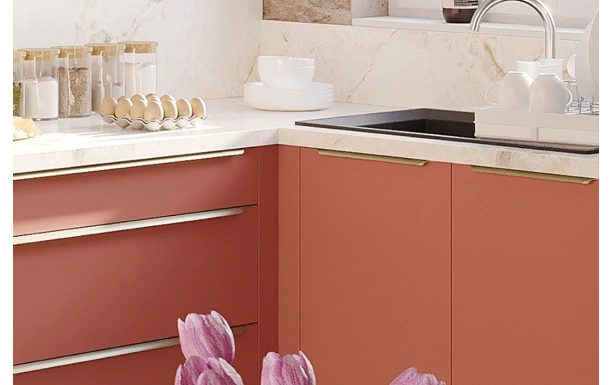 façades de cuisine coloris corail mat